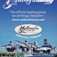 TEAM YELLOWFIN ONLY